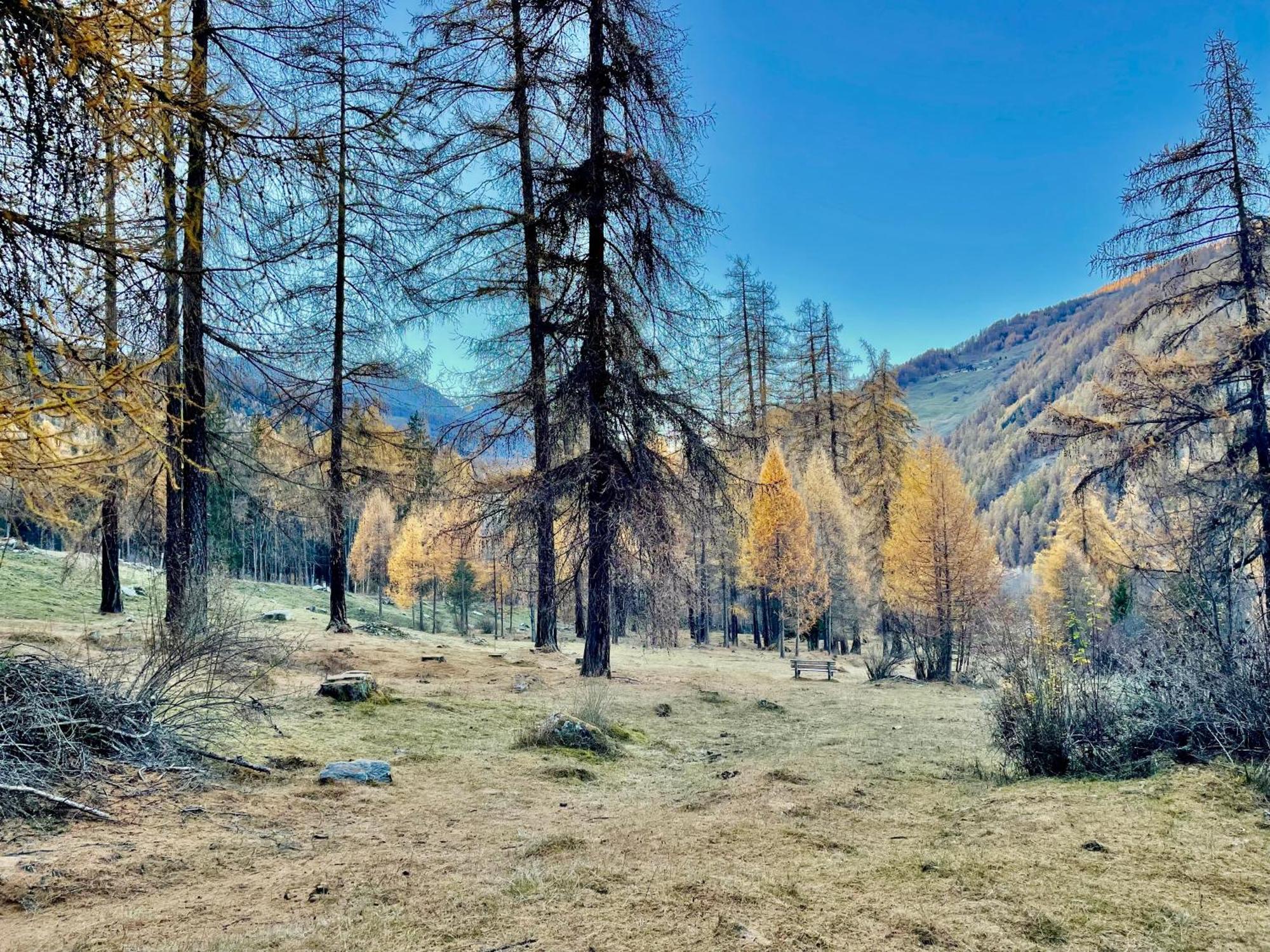 Chasa Jaro Panzió Santa Maria Val Muestair Kültér fotó