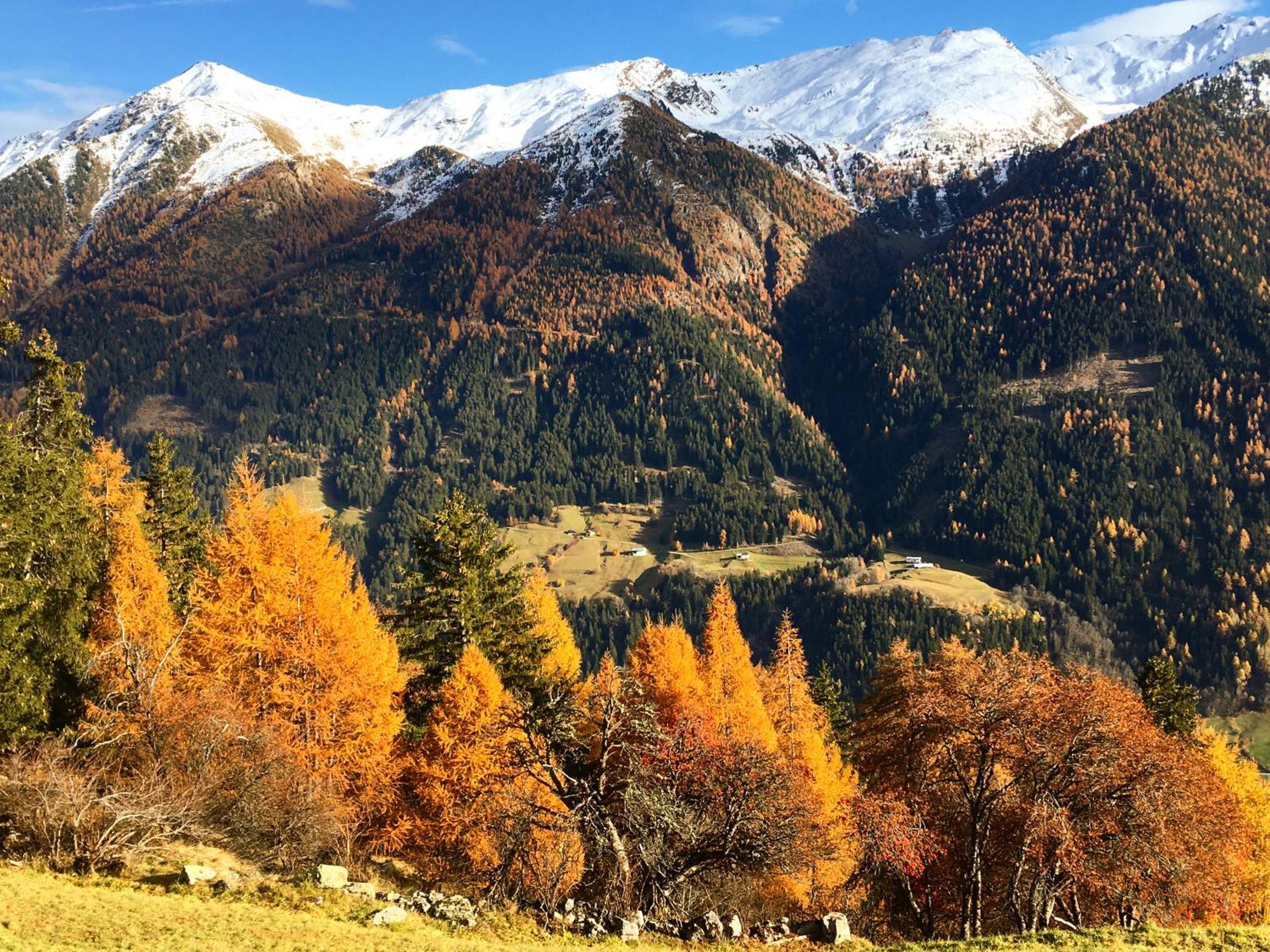 Chasa Jaro Panzió Santa Maria Val Muestair Kültér fotó